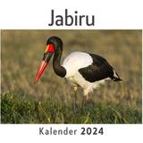 Kalendrar & Anteckningsblock Jabiru Wandkalender 2024, Kalender DIN A4