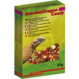 Lucky Reptile Fiskar & Reptiler Husdjur Lucky Reptile Bearded Dragon Candy 35