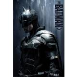 Inredningsdetaljer Batman Downpour Poster