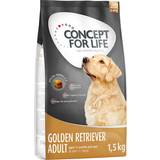 Concept for Life Hundar Husdjur Concept for Life Golden Retriever Adult 4