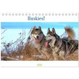 Kalendrar & Anteckningsblock Calvendo Huskies! Tischkalender 2024 DIN A5 quer