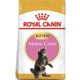 Kattfoder Husdjur Royal Canin Maine Coon Kitten 4kg