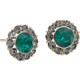 Smycken Lily and Rose Miss Sofia Earrings - Gold/Green/Black