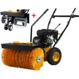 Texas HS650TG with Moss Remover