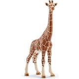Giraffer Figuriner Schleich Giraffe Female 14750