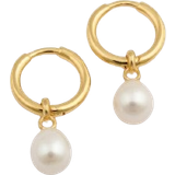 Syster P Smycken Syster P Treasure Hoops - Gold/Pearl