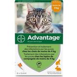 Advantage Husdjur Advantage parasiter Katt Kanin 1-4