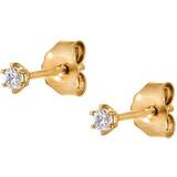 Guld Örhängen Guldfynd Earrings - Gold/Diamonds
