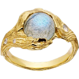 Grå Ringar Maanesten Calypso Water Ring - Gold/Grey/Transparent