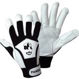 Griffy Arbetskläder & Utrustning Griffy Panda 1730-8 Nappaläder monteringshandske handskar 8, EN 388 CAT II par