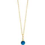 Agat Halsband Spirit Icons Figaro Necklace - Gold/Agate/Transparent
