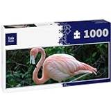 Lais Puzzle pussel flamingo 1000 bitar panorama
