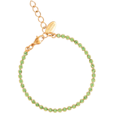 Peridot Armband Caroline Svedbom Siri Bracelet - Gold/Peridot