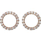Christina Jewelry Circle Earrings - Rose Gold/Topaz