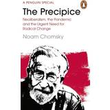 Engelska - Filosofi & Religion Böcker The Precipice (Häftad)