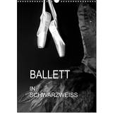 Calvendo 2024 Ballet in Black and White Wall Calendar A3 Portrait