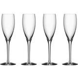 Orrefors More Champagneglas 18cl 4st