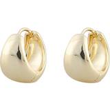 Snö of Sweden Core Pure Oval Earrings - Gold