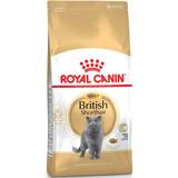 Omega-3 Husdjur Royal Canin British Shorthair Adult 2kg