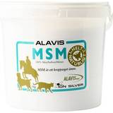 Ion Silver MSM Alavis 1kg