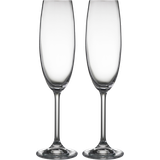 Bitz Glas Bitz - Champagneglas 22cl 2st
