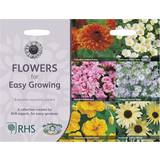Krukväxter RHS Growing Seed Variety Grow Your Own Garden Flowers Mr