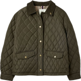 Joules Dam Ytterkläder Joules Womens Arlington Quilted Padded Country Coat - Green