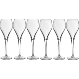 Table Top Stories Bubbles Proseccoglas Champagneglas 16cl 6st