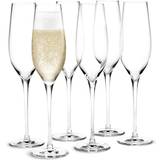 Holmegaard Cabernet Champagneglas 29cl 6st