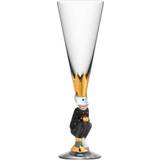 Gunnar Cyrén Champagneglas Orrefors Nobel The Sparkling Devil Dark Grey Champagneglas 19cl