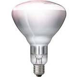 Glödlampor Philips BR125 IR Incandescent Lamp 250W E27