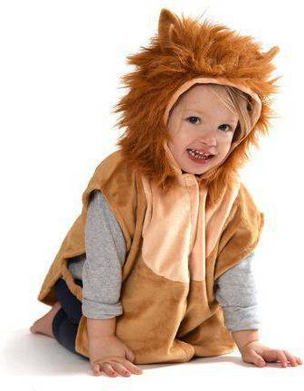 Bild på Den Goda Fen Babycape Lion