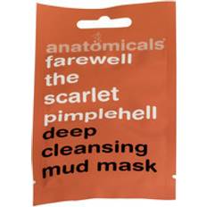 Anatomicals Ansiktsvård Anatomicals Pimplehell Deep Cleansing Mud Face Mask 15g