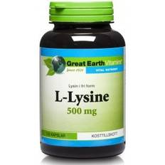 Aminosyror Great Earth L-Lysine 500mg 120 st