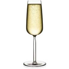 Iittala Glas Champagneglas Iittala Senta Champagneglas 21cl
