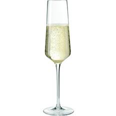 Leonardo Puccini Champagneglas 28cl 6st