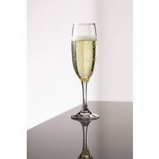 Aida Chateau Champagneglas 22cl