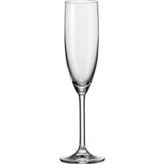 Glas Champagneglas Leonardo Daily Champagneglas 20cl 6st