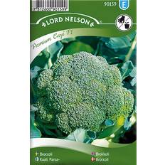 Broccoli Grönsaksfröer Nelson Garden Broccoli Premium Crop F1 72 pack