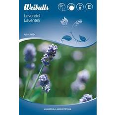 Weibulls Lavender