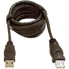 Belkin Guld - USB A-USB A - USB-kabel Kablar Belkin USB A - USB A 2.0 M-F 3m
