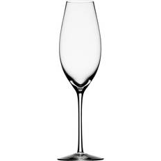Orrefors Glas Champagneglas Orrefors Difference Sparkling Champagneglas 32cl