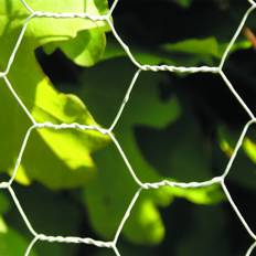 Hönsnätsstängsel NSH Nordic Hexagonal Wire Netting Fence 106-229 30cmx10m