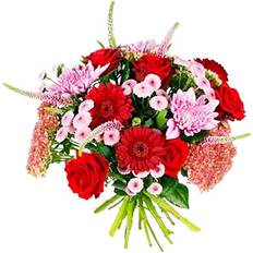 Blommor till begravning & kondoleanser Sundown Blandade blommor
