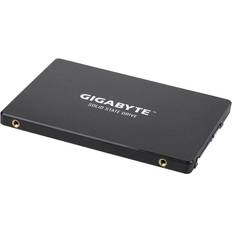 256 GB - SSDs Hårddisk Gigabyte GP-GSTFS31256GTND 256GB