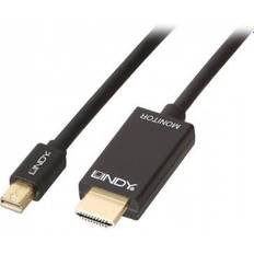 Lindy DisplayPort-kablar Lindy Passive HDMI-DisplayPort Mini 1m