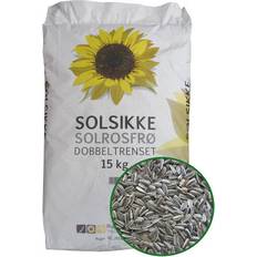 Solrosfrö Striped Sunflower Seeds