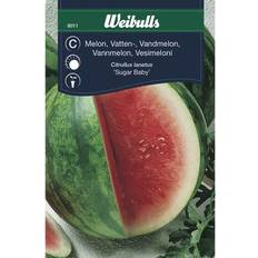 Frukt- & Bärfröer Weibulls Watermelon