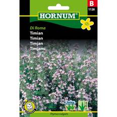 Hornum Thyme