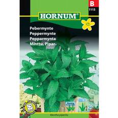Hornum Peppermint